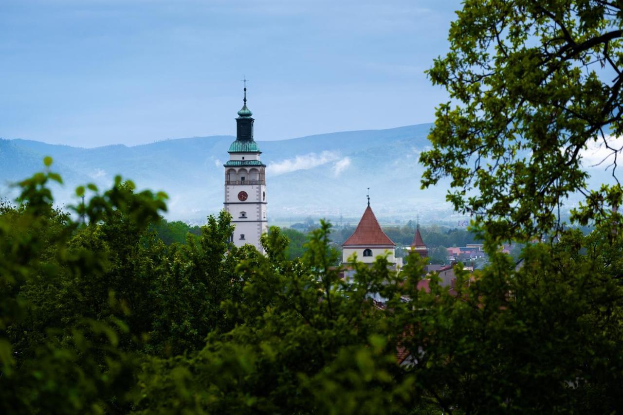 Zajazd Izabela Bed & Breakfast Żywiec Eksteriør bilde